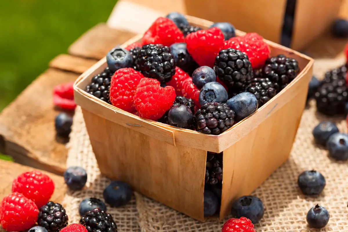 Mixed berries rich in antioxidants in a bowl on the table